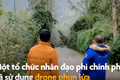 Video : Dùng drone đốt tổ ong bắp cày ở Trung Quốc