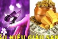 Thấy 4 điềm này: Thần Tài ghé thăm phát lộc cho bạn