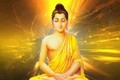 Lời Phật dạy từ đại dịch COVID-19: Hãy trân quý từng hơi thở