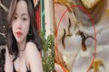 Huỳnh Anh phốt nhà hàng bán cua hoàng đế có nhiều sinh vật lạ