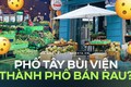 Tụ điểm bar pub hot nhất nay đã trở thành chỗ bán rau?