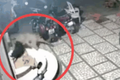 Video: Báo đốm đột nhập vào nhà dân tấn công chó nhà và cái kết