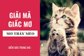 Nằm ngủ mơ thấy mèo là điềm báo lành hay dữ?