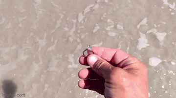 Đang dò kim loại bất ngờ thấy nhẫn kim cương gần 1 tỷ đồng