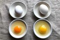 Lòng đỏ trứng có màu cam tốt hơn hay màu vàng?