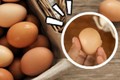 Các cách phân biệt trứng gà cũ hay mới cực đơn giản