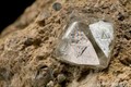 Mổ vịt phát hiện viên đá lạ, hóa ra giá hơn 300 tỷ