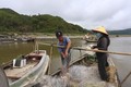 Ngư dân Hà Tĩnh vươn khơi thu "lộc biển" sau đợt mưa lớn