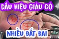 4 dấu hiệu trong lòng bàn tay là thần Tài "đánh dấu", chẳng lo nghèo