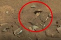 Sự thật phát hiện hình ảnh người ngoài hành tinh trên sao Hỏa