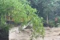 Video: Cây cầu bị nước lũ đánh sập trước mắt người dân