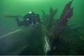 Nhà khảo cổ phát hiện “thủy quái” núp trong con tàu đắm 500 tuổi