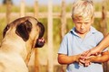 Loài động vật có thể ngửi thấy mùi sợ hãi ở con người  