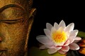 9 bài học của Phật dạy cách hóa giải những khó khăn trong cuộc đời