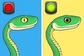 Cách nhận biết loài rắn chứa nọc độc