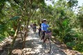 Du khách thích thú chèo xuồng, đạp xe khám phá cù lao Tam Hiệp