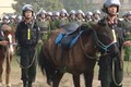 Cảnh sát Cơ động Kỵ binh Việt Nam được trang bị giống ngựa từng chinh phạt châu Âu?