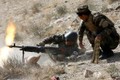 Sau màn tấn công bất ngờ từ Taliban, Afghanistan bắt đầu phản công