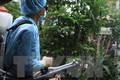 Thành phố Hồ Chí Minh họp khẩn về diễn biến dịch Zika trên địa bàn