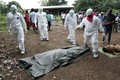 Nguy cơ bùng phát dịch bệnh Ebola ở CHDC Congo