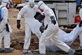 Nóng: Ebola bùng phát trở lại tại Congo 