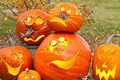 Ý nghĩa phong thủy ít biết của bí ngô trong lễ hội Halloween