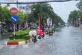 Bạc Liêu: Gói thầu nâng cấp đường Trần Phú hơn 37 tỷ về tay Cty Truyền Phát 