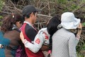 Thảm sát ở Bình Phước: Mẹ nghi can đau đớn ngã quỵ