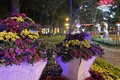 Cảnh lộng lẫy đèn hoa đón chào 2020 ở trung tâm Sài Gòn