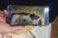 Có nên mua sản phẩm galaxy của Samsung sau sự cố Note 7 cháy nổ?
