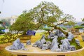 Kịch độc bonsai ổi tàu nghìn trái 500 triệu không bán