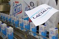 Sữa Lactalis nghi nhiễm khuẩn vẫn được rao bán trên mạng