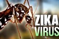 Việt Nam công bố 2 ca nhiễm Zika đầu tiên, một người đang mang thai