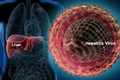Cách nhận biết triệu chứng virus viêm gan có thể gây tử vong