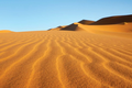 Sự thật thú vị về sa mạc Sahara có thể bạn chưa biết