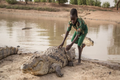 Kinh ngạc nơi dân làng “chung sống hòa bình” với cá sấu