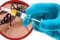 Vacxin sốt xuất huyết đầu tiên được WHO phê chuẩn
