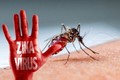 Bộ Y tế: Xác minh thông tin virus Zika gây rối loạn não người lớn