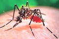 Việt Nam chính thức công bố hết dịch Zika
