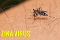 Hàn Quốc ghi nhận trường hợp thứ 6 nhiễm Zika