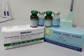 Việt Nam điều chế thành công vacxin phối hợp sởi-rubella