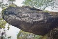 Kỳ bí hang rắn thần khổng lồ linh thiêng chỉ có ở Thái Lan