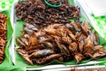 Những món ăn từ côn trùng của Lào khiến du khách “khóc thét”