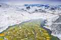 Hồ Chấm Bi tuyệt đẹp có khả năng chữa bệnh ở Canada