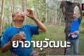 Doanh nhân Thái Lan uống tiết cá sấu 2 lần/ngày để khoẻ mạnh