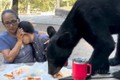 Gấu đen lao vào tiệc sinh nhật, bà mẹ nhanh trí cứu con