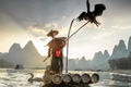 Ấn tượng bộ ảnh ngư dân Trung Quốc đánh cá bằng chim cốc