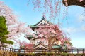 Loạt địa điểm ngắm hoa anh đào không thể đẹp hơn ở Nhật