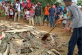 Hàng trăm con cá sấu bị thảm sát gây kinh hoàng