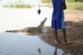 Kỳ lạ vùng đất trẻ em, phụ nữ tắm chung cá sấu dữ